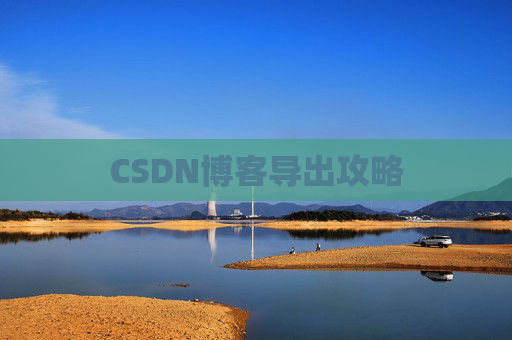 CSDN博客导出攻略
